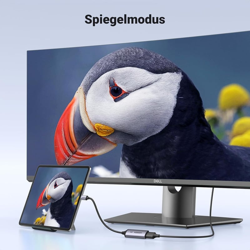 UGREEN USB-C DP1.4 adapter 8K@60Hz 4K@240Hz Thunderbolt DisplayPort HDR