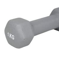 Gantera UPFIT 1 kg – Ganteră din fontă cu mâner lat – Gri – Pentru antrenamente fitness, cardio și forță 4