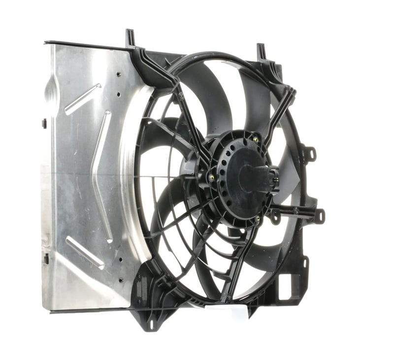 Valeo 696584 motor ventilatora hladnjaka kompatibilan s Citroën C2, C3 Aircross II, C3 I, C3 II, C3 III, C3 Picasso, C4 Cactus, DS3