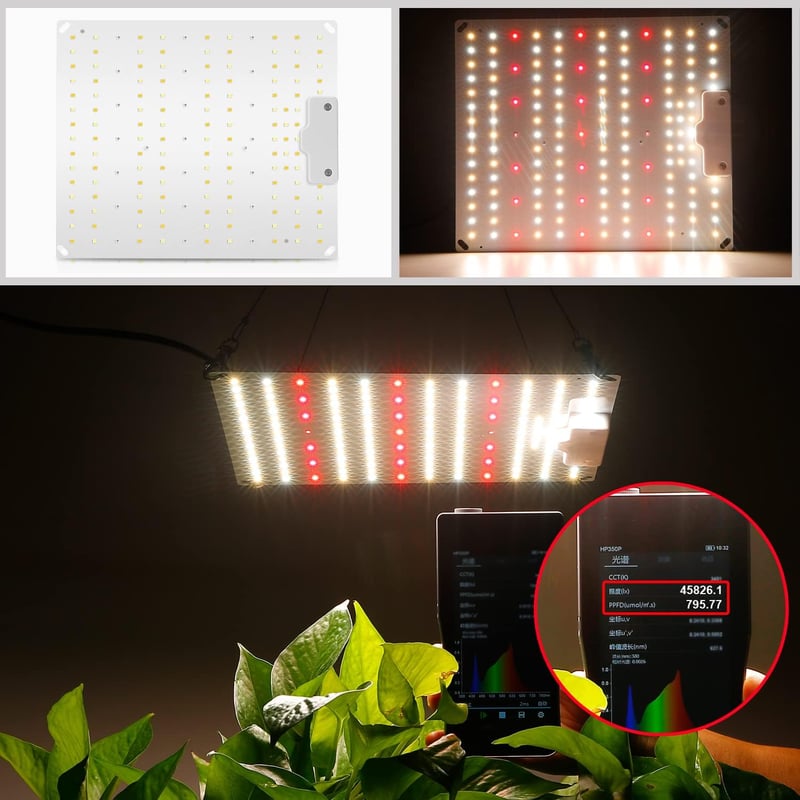 VAYALT 500W LED Növénynövesztő Lámpa Teljes Spektrum Hidroponikus Növekedéshez