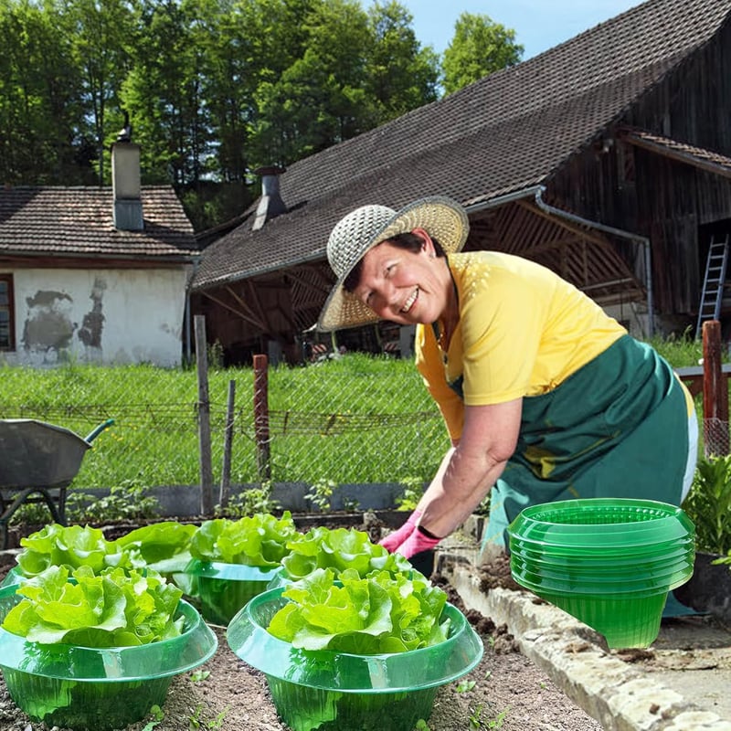 VDYXEW Megerősített Csigavédő Gallér Saláta és Káposzta Növényekhez - Vegyszermentes Csigariasztó Védelem (68g/db) - Pack of 20