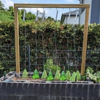 VDYXEW Növényvédő Búra 20 db - Újrahasználható Kerti Növénytakaró Harang (22x19,5 cm) - Véd Nap, Fagy és Csigák Ellen 9