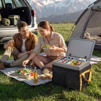 Ladă frigorifică cu compresor VEVOR 40 L, frigider auto ultraușor din EPP cu control prin aplicație, 12V/24V DC, de la -10°C la 10°C, pentru camion, autorulotă, camping 8