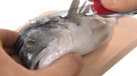 Victorinox Fisherman Svájci Bicska Halász Kés Multifunkciós Szerszám 7