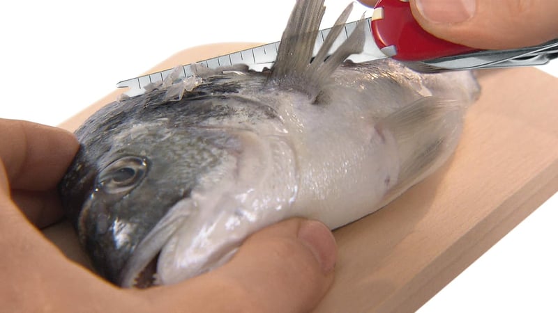 Victorinox Fisherman Svájci Bicska Halász Kés Multifunkciós Szerszám