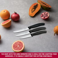 Victorinox Swiss Classic 3 részes konyhai kés szett - zöldség, paradicsom és reggeli kés 5