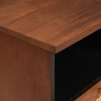vidaXL TV szekrény fiókkal mangófából 70x33,5x46 cm barna 6