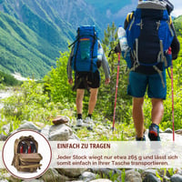 Skladacie palice na nordic walking VINATO pre ženy a mužov, teleskopické turistické palice s prenosnou taškou, 2 ks, červené, 130 cm 4