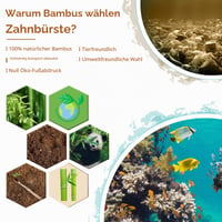 Virgin Forest set bambusovih četkica za zube, 10 komada s mekim vlaknima, bez BPA, biorazgradive, s aktivnim ugljenom, drška od prirodnog drva, ekološki prihvatljive 3