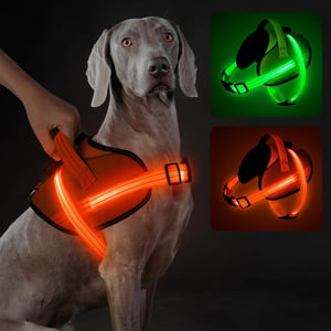 Visinite LED kutya hám, fényvisszaverő, USB töltős, narancssárga S méret