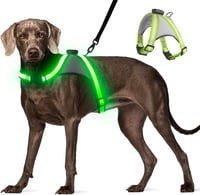 Visinite LED kutya mellény,M-es méret töltödhető fényvisszaverő hám éjszakai sétához 1