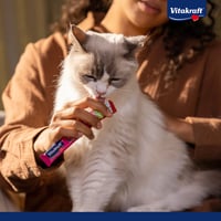Vitakraft Liquid Snack pentru pisici cu pui și taurină, recompensă cremoasă lichidă, 6x15g, pentru susținerea vederii și a inimii 6