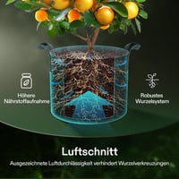 VIVOSUN 5 db-os 60 L Fekete Növénytermesztő Zsák Szett - Tartós Textil Ültetőzsák Fogantyúval, Vízelvezető Lyukakkal Zöldségekhez, Virágokho 5