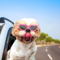 Voarge Kutya Napszemüveg UV Védelem Állítható Pánttal Vízálló Könnyű Párnázott Rózsaszín Kutyaszemüveg Kiskutya Védőszemüveg 4