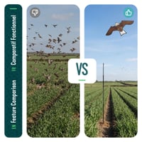 VOUNOT Sperietoare de păsări sub formă de șoim realist, zmeu cu tijă telescopică de 4 m, pentru grădină, câmp și protecția culturilor agricole, 2 buc. B și G 7