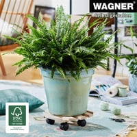WAGNER Paletti podmetač za biljke s kotačićima, Ø 30 x 8 cm, unutarnji stalak za cvijeće s kotačićima, FSC masivno bukovo drvo, nosivost 100 kg, proizvedeno u EU 3
