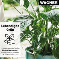 WAGNER Sun City Basic Podstavec pod kvetináč s kolieskami – 32 – 46 x 6 cm, nastaviteľný, nosnosť 100 kg, na vnútorné aj vonkajšie použitie, s 2 brzdami 9