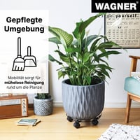WAGNER Sun City Basic Podstavec pod kvetináč s kolieskami – 32 – 46 x 6 cm, nastaviteľný, nosnosť 100 kg, na vnútorné aj vonkajšie použitie, s 2 brzdami 10