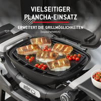 Plynový gril Weber Q 1100N – Kompaktný záhradný plynový barbecue gril 6