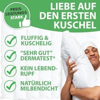 Pilotă Welldora Comfort 220x240 cm, 2380 g, puf și pene extra moale, Oeko-Tex, pentru persoane alergice, certificată RDS, pilotă din puf pentru tot anul 4