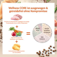 Wellness CORE Kitten Száraz Macskaeledel, Gabonamentes, Pulyka és Csirke, 1,75 kg 4