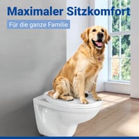 Capac WC WENKO Ios cu mecanism Soft-Close, alb, 37,5x45 cm, detașabil, termoplast rezistent la spargere, fixare din oțel inoxidabil, capacitate portantă 250 kg 9