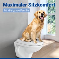 WC sedadlo WENKO Sindia s pomalým sklápaním, nosnosť 300 kg, odnímateľné, D-tvar, antibakteriálny duroplast, biele 9