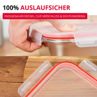 Westmark kutija za užinu od nehrđajućeg čelika – bento kutija otporna na curenje – pogodna za mikrovalnu pećnicu i pećnicu, bez BPA – za školu, posao – srebrna, s pregradama 450 + 280 ml 7