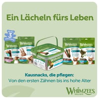 WHIMZEES Rice Bone štapići za žvakanje za pse, veličina M/L, 20 komada - prirodni, bez glutena, bez dodanog šećera, za njegu zubi, za srednje i velike pse 8