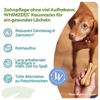 WHIMZEES Rice Bone štapići za žvakanje za pse, veličina M/L, 20 komada - prirodni, bez glutena, bez dodanog šećera, za njegu zubi, za srednje i velike pse 3