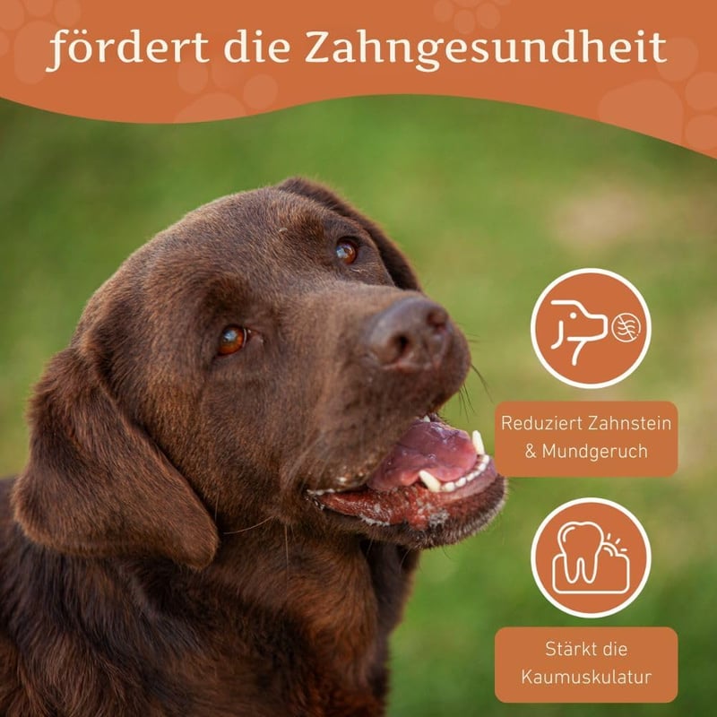 Wildfang Csipkebokor Rágógyökér Kutyáknak - Tartós Természetes Rágófa Játék Fogápoláshoz, Stressz Csökkentéshez, Rágóizom Erősítéshez - 3 db