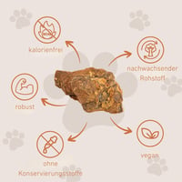 Wildfang Csipkebokor Rágógyökér Kutyáknak - Tartós Természetes Rágófa Játék Fogápoláshoz, Stressz Csökkentéshez, Rágóizom Erősítéshez - 3 db 3