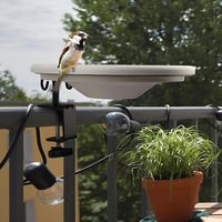 Wildlife Friend Madáritató és Etető Tál XL - Erkélytartóval, 30 cm Átmérőjű Műanyag Madáretető Állomás Vadmadaraknak, Időjárásálló Kerti Ita 6