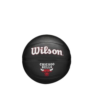 Wilson NBA Team Tribute mini košarkaška lopta – službena momčadska lopta u minijaturnoj veličini