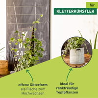 Suport Metalic pentru Plante Windhager 77x34 cm, Susținere pentru Plante de Grădină, Structură Metalică 4