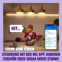 WiZ pametna LED žarulja A60, podesiva bijela svjetlost, grlo E27, 100 W, 1521 lumena, prigušiva, kompatibilna s Alexa, Google Assistant i Apple Home, 1 kom. 6