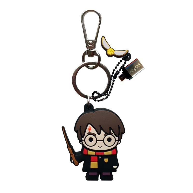 WONDEE Disney Harry Potter 2 v 1 kľúčenka a USB kľúč 32 GB s USB-C adaptérom – darček Harry Potter pre deti, ženy a mužov
