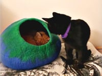 Woolygon Gyapjú Macskabarlang - 100% Merinó Gyapjúból Kézzel Készített Öko-barát Filc Bújó Minden Méretű Cicának, Önmelegítő Funkcióval, Ind 8