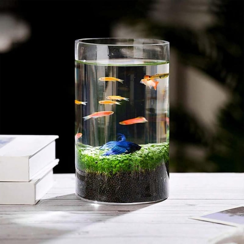 WORLUDE 3 db üveg váza 8,5x15 cm - henger alakú boroszilikát üveg gyertyatartó