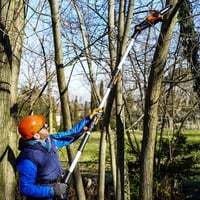 Worx WG908E 20V Max akkus teleszkópos sövényvágó és ágvágó 4
