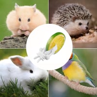 Clește pentru hrănire în colivie Wxinsheng, 8 bucăți, clemă pentru fructe și legume pentru papagali, clește durabil pentru hrănirea păsărilor, hamsterilor și papagalilor 5