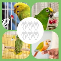 Clește pentru hrănire în colivie Wxinsheng, 8 bucăți, clemă pentru fructe și legume pentru papagali, clește durabil pentru hrănirea păsărilor, hamsterilor și papagalilor 2