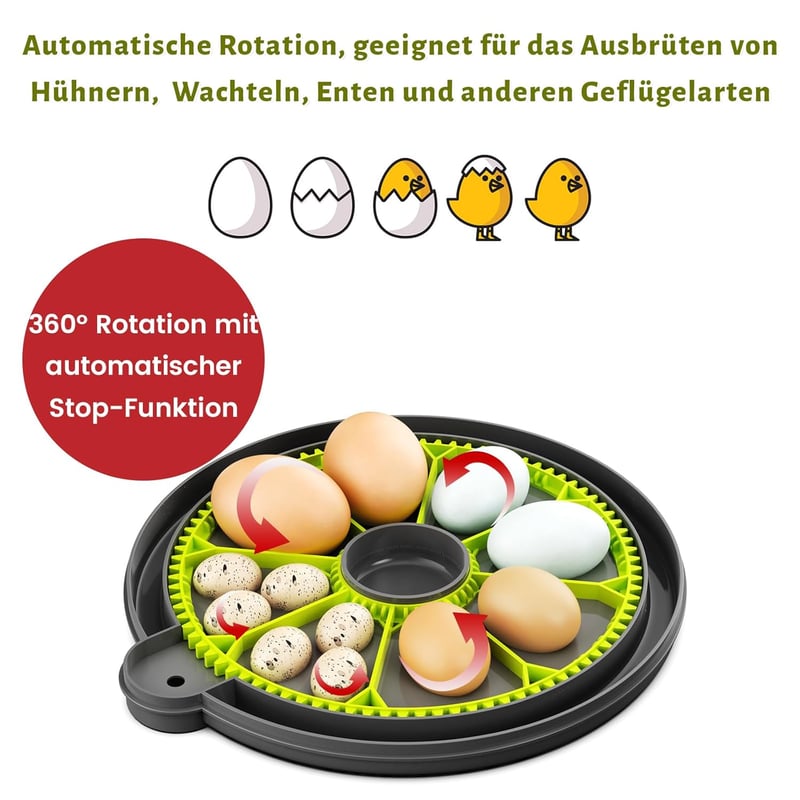 XFD-8 Keltetőgép 8 Tojáshoz - Automata Forgatás, Külső Víztartály, Digitális Hőmérséklet Szabályozás, Csirke és Fürj Tojásokhoz