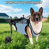 XJJAUGKLY Invalidný vozík pre malé psy na zadné nohy, rehabilitačný vozík pre mačky/domáce zvieratá so zranenými a slabými zadnými nohami, veľkosť M, svetlomodrý 6
