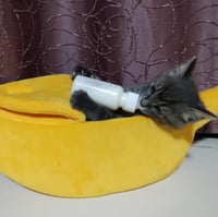 Xshelley Banán Alakú Macska Ágy - Puha Plüss Kisállat Fekhely Kiscicáknak és Kiskutyáknak - Meleg Bújófészek 6 kg Alatti Háziállatoknak (68  7