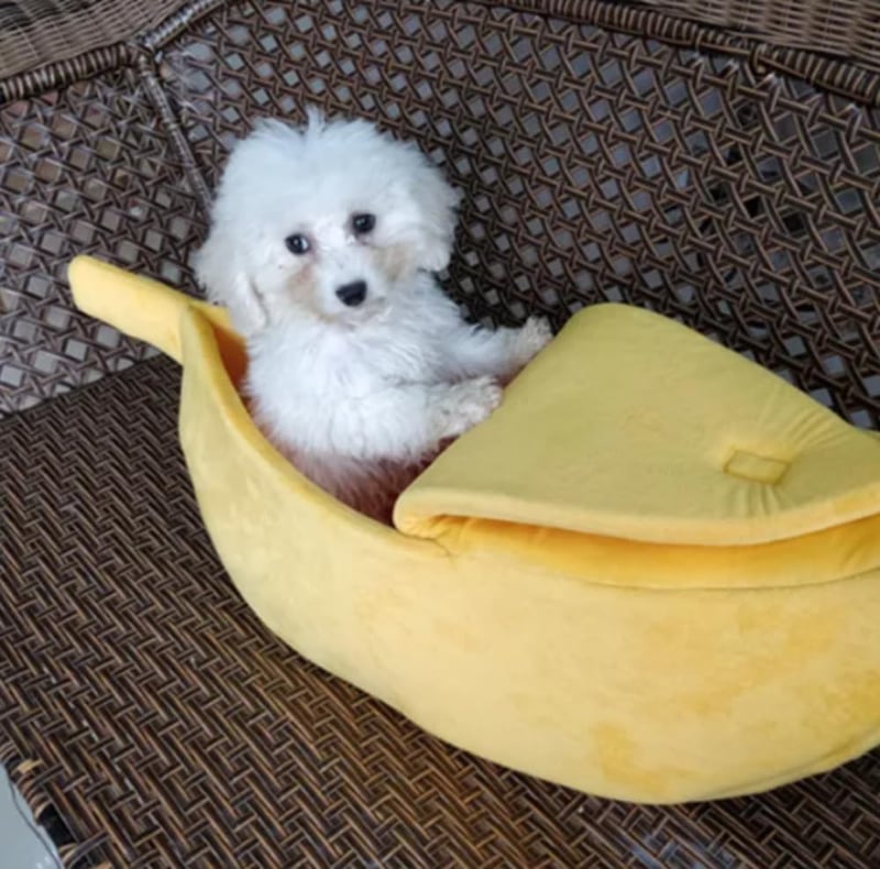 Xshelley Banán Alakú Macska Ágy - Puha Plüss Kisállat Fekhely Kiscicáknak és Kiskutyáknak - Meleg Bújófészek 6 kg Alatti Háziállatoknak (68 