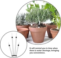 Yardwe vízszintjelző szobanövényekhez - 23 cm és 36 cm - 4 db 5