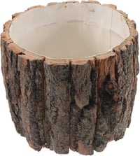 Yardwe Kéreg Virágcserép 17cm Rusztikus Fa Succulent Ültető 1