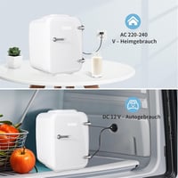 YASHE 4 literes mini hűtőszekrény kozmetikumokhoz, italokhoz, 220V/12V termoelektromos hűtés-fűtés 6
