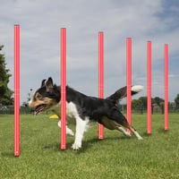 YGORTECH Slalom Pálca Szett Futball Agility Edzéshez 6 Pálca Agility Létra 10 Kúp Ugrókötél 7